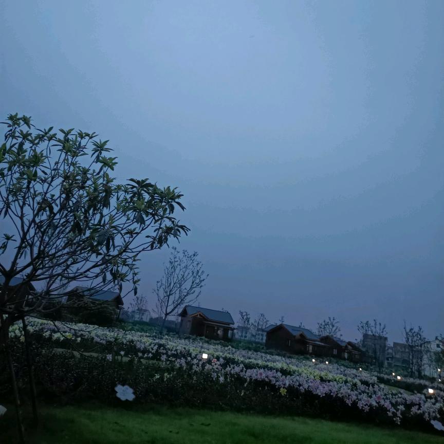 杨艳