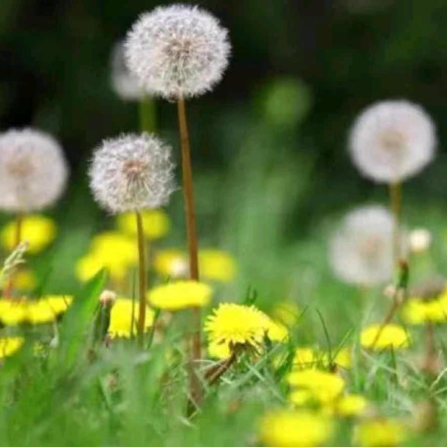 姚安县百泰婚礼美学馆官方号