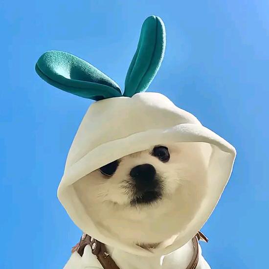 日昇好物