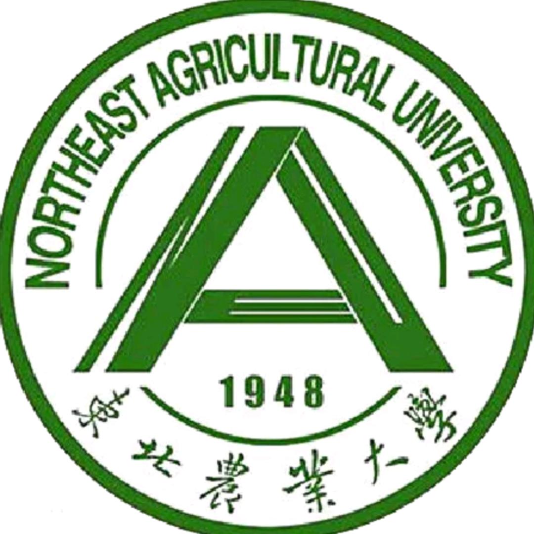 东北农业大学团委