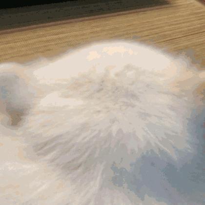 幻梦