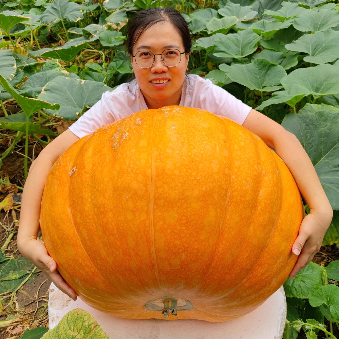 自然金果农场