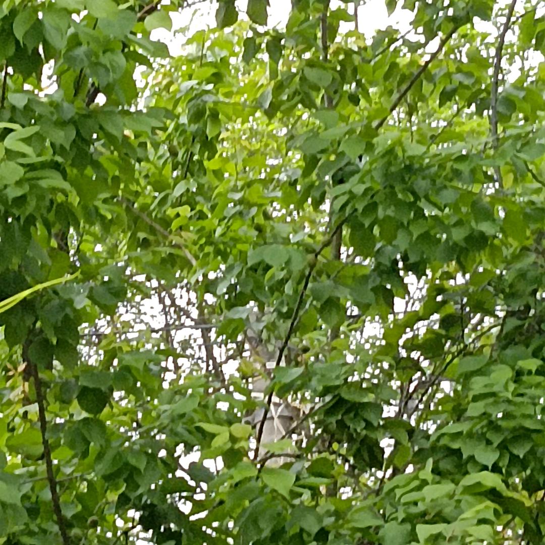 用户123