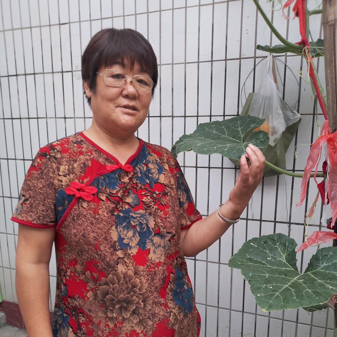 竹梅