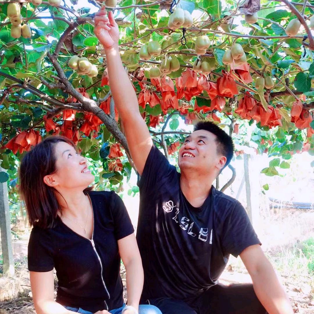 金牌村农场静静