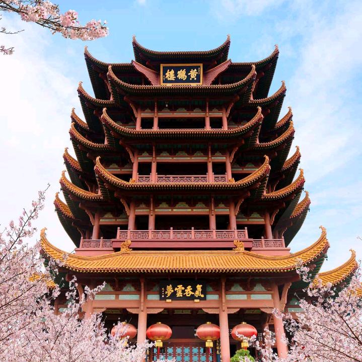 大朋