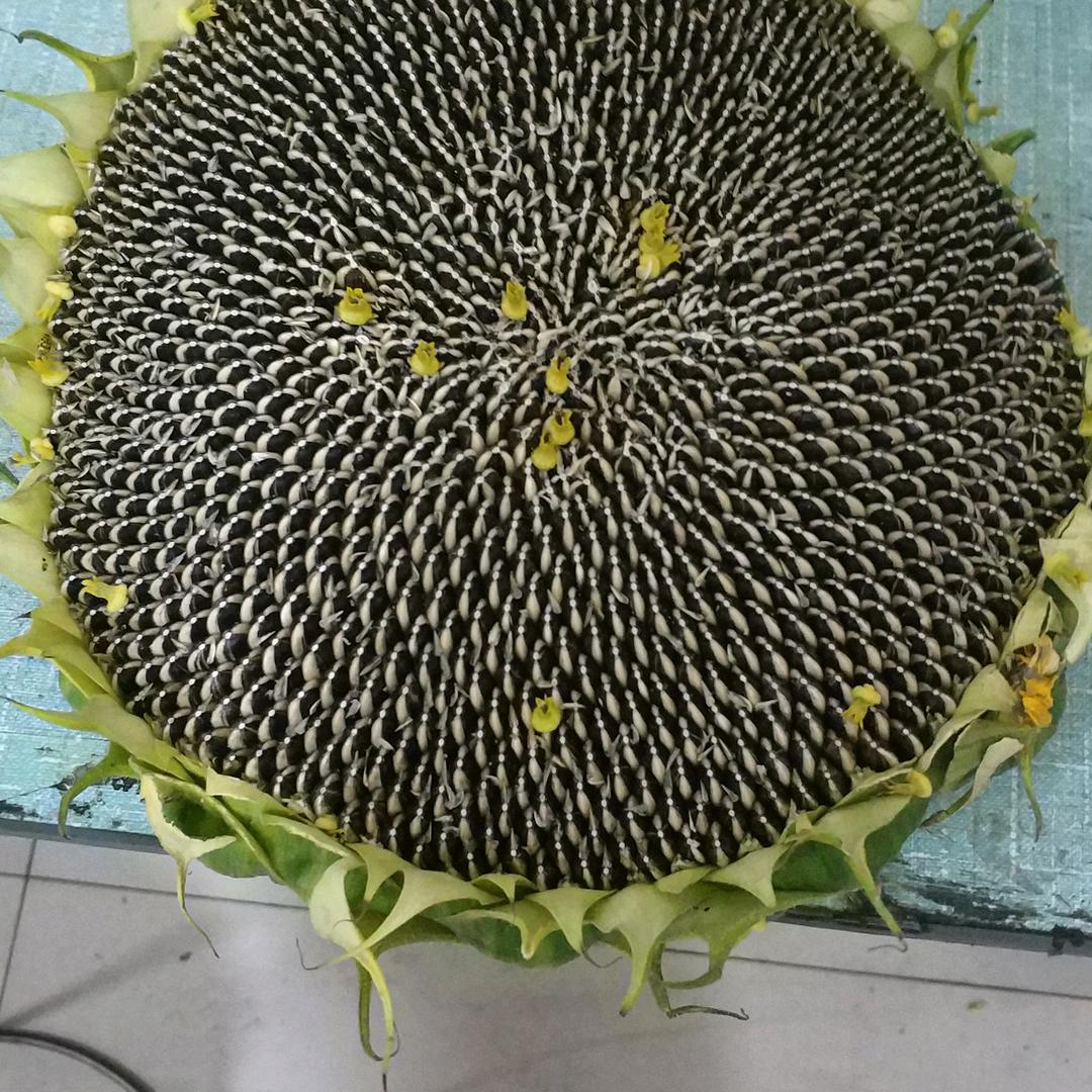 用户4592364602951