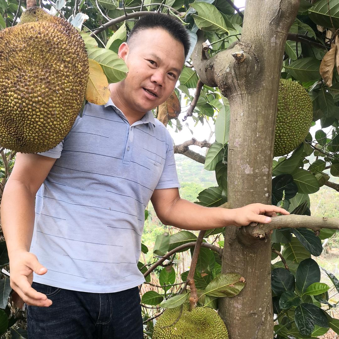 众果果树苗木专营店