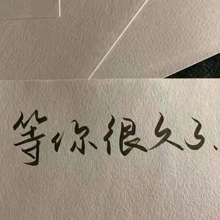 一只穿什么
