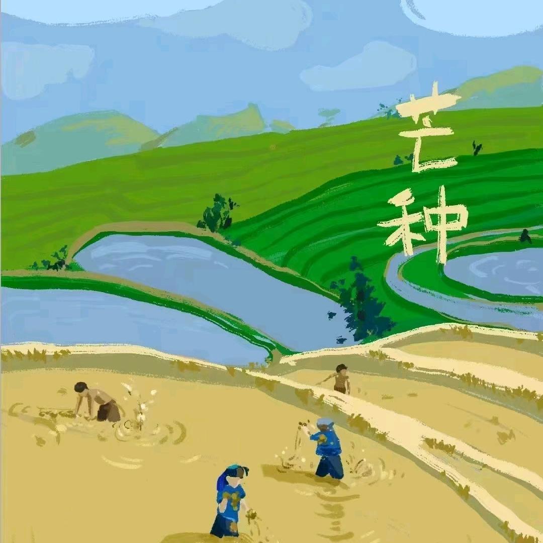 城市摆渡人