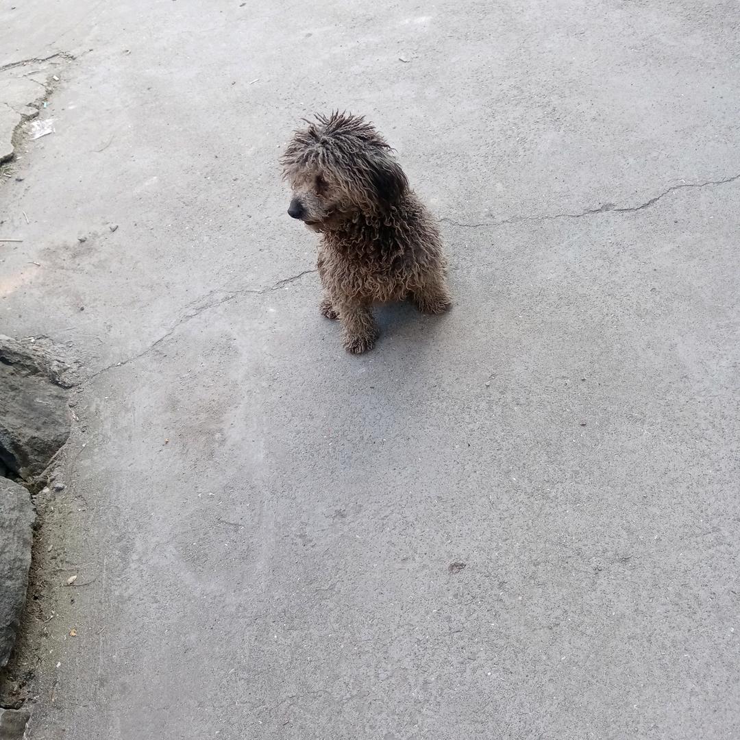 已重置