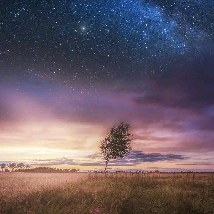 萌✪ω✪