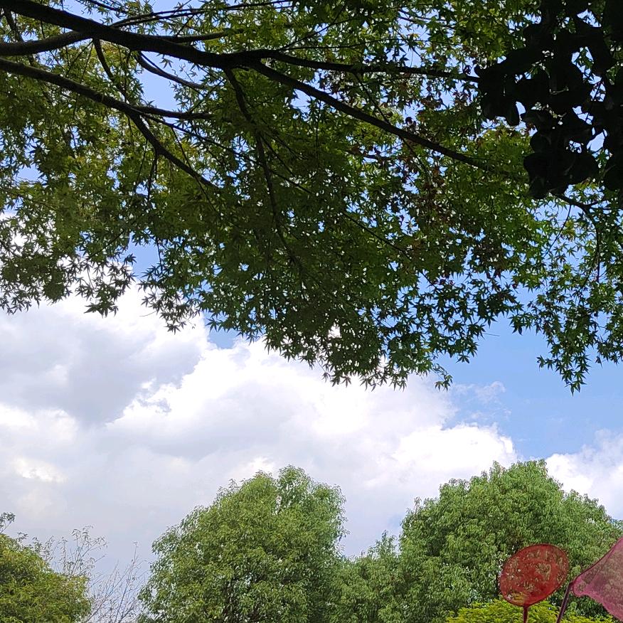 义乌市久葵服饰有限公司