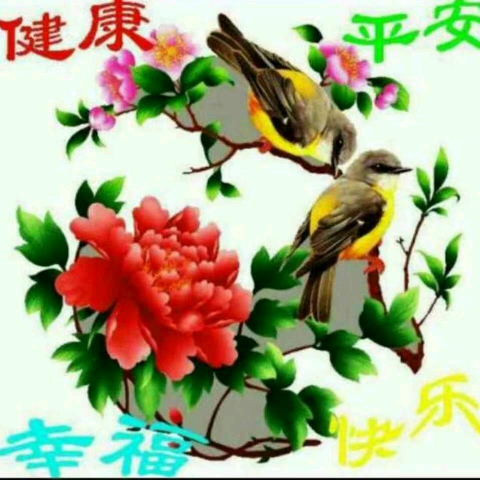 心太软jl