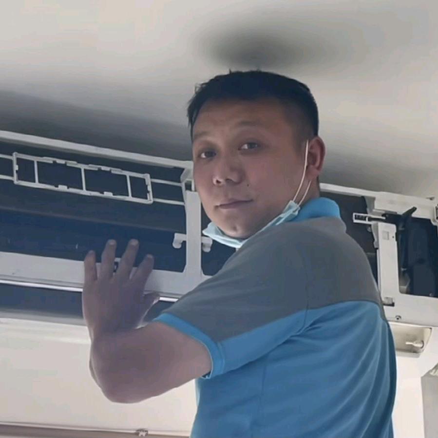 吃西瓜的德国小蠊