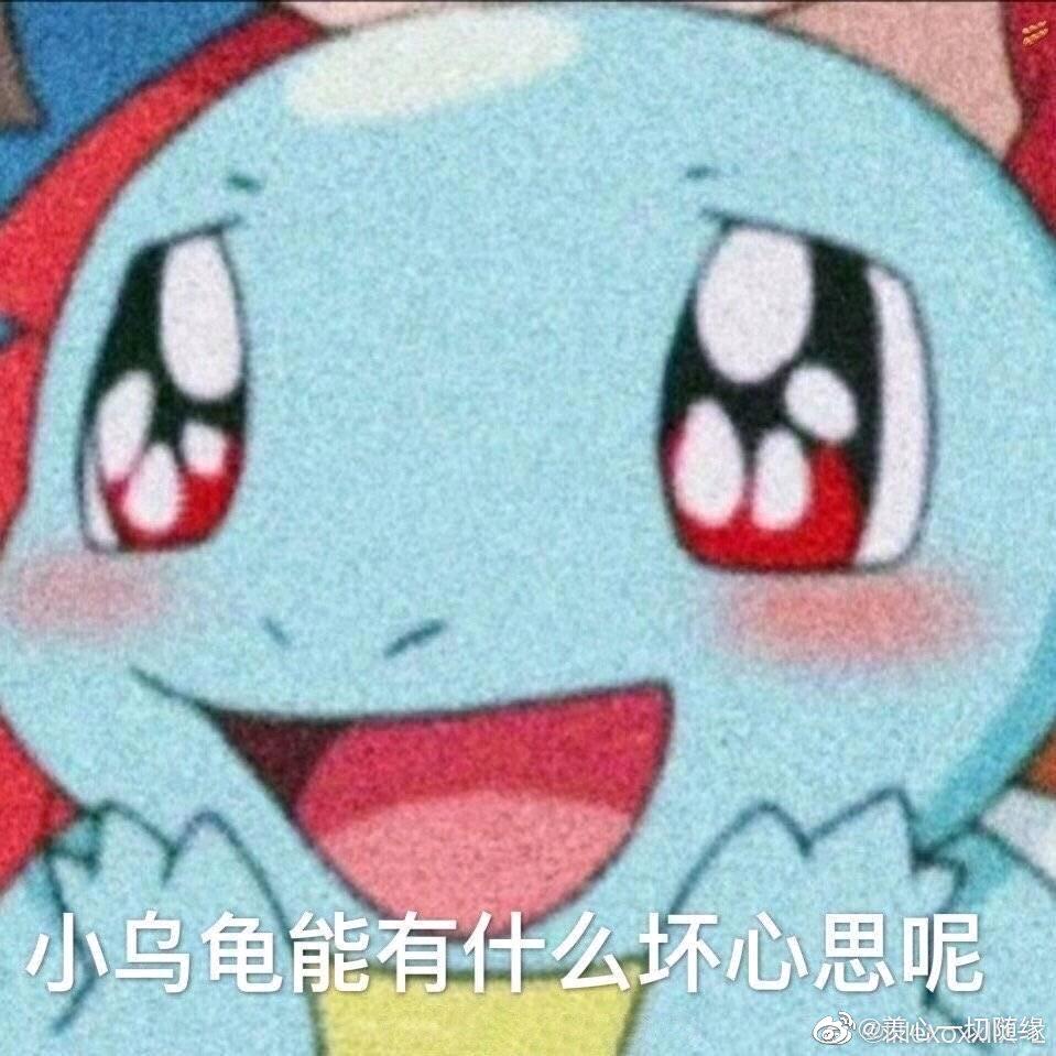 半山腰子磕博肖Ꮤ.