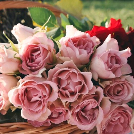 🥀এ᭄陪我ꦿ吹💔吹风ོ࿐ᩚ