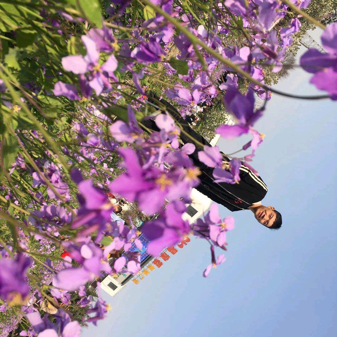 ঞོ₅₂₀木子李🍒࿐ོ