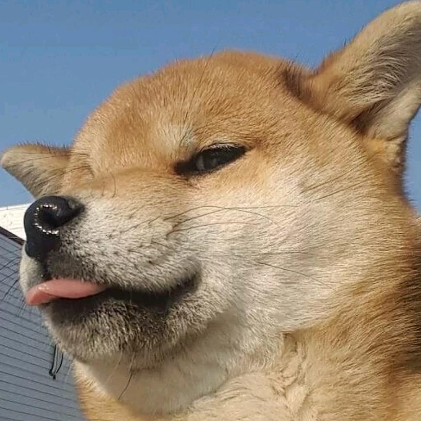 没人记得✘