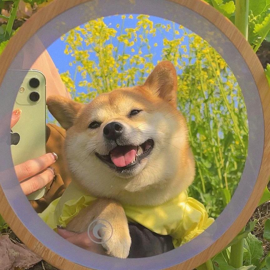 Rling玲凌泠～