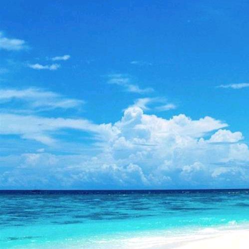 阿海
