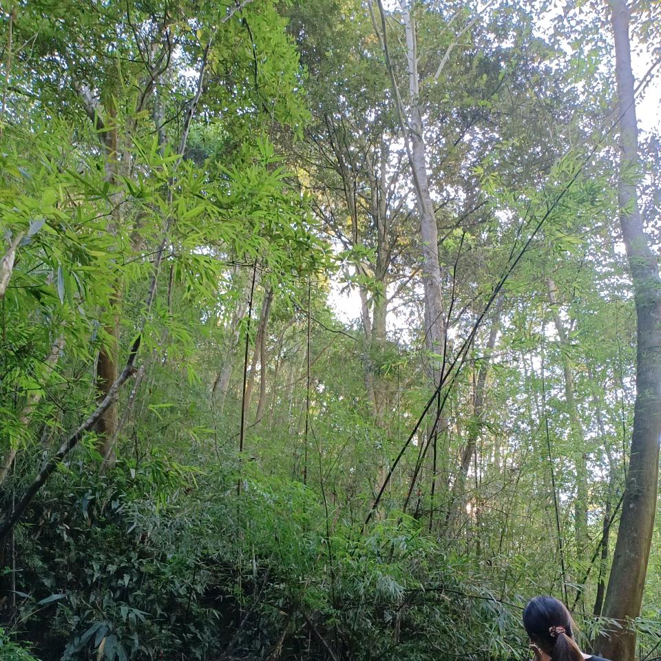 ❤️‍🔥ᵛ⁸森罗万象🐘