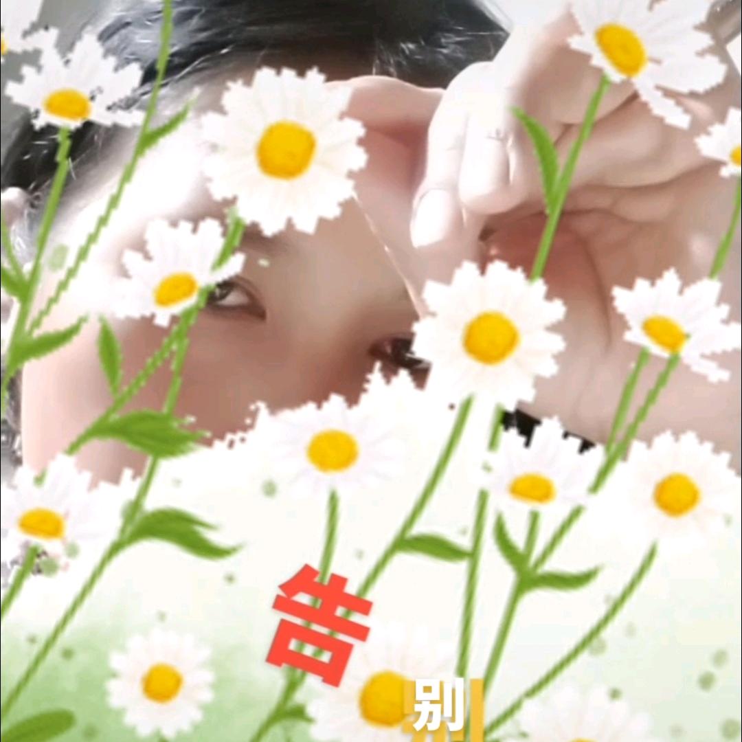 愤怒的猪