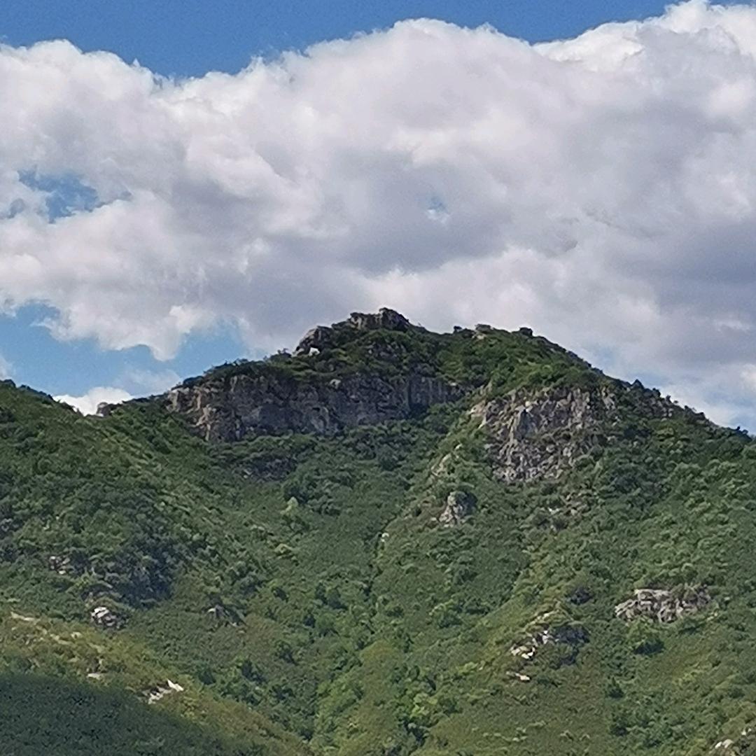 你说的对