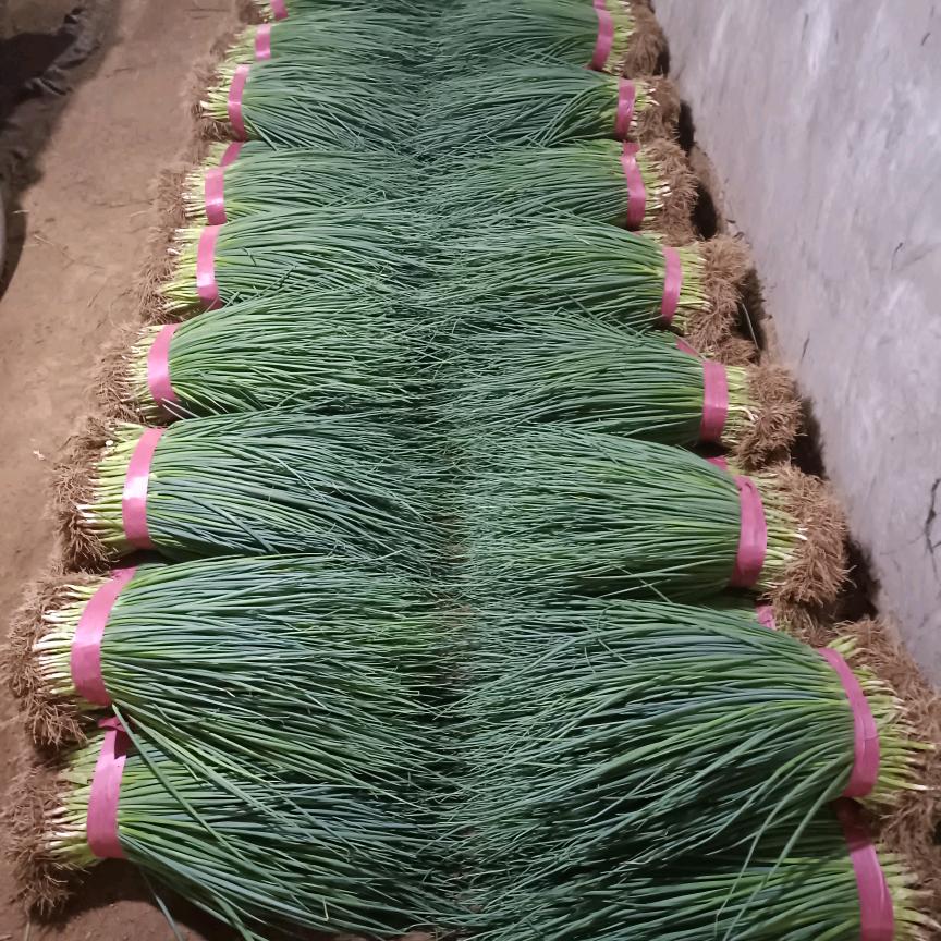 ໑ຼ₀₂₃💕罗汤庞蟹🕊꧔ꦿ