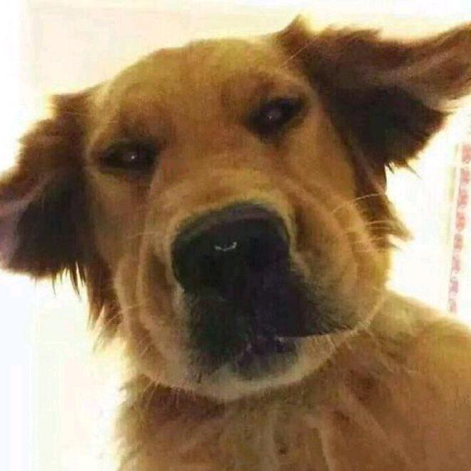 人生若如初相见