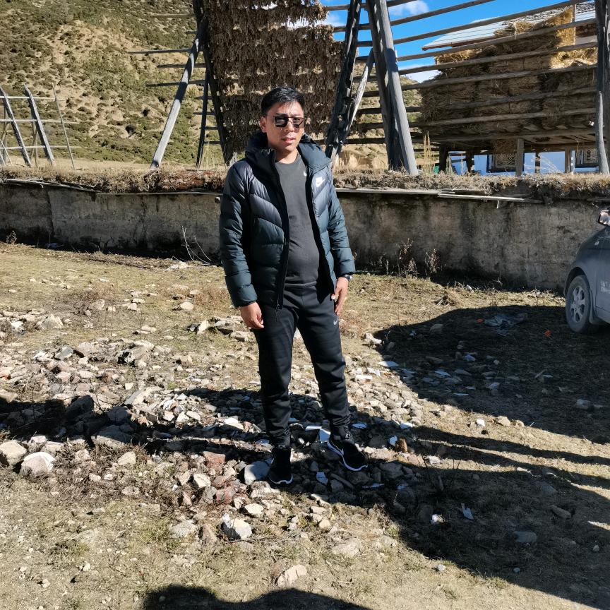 《藏 》洛桑农布