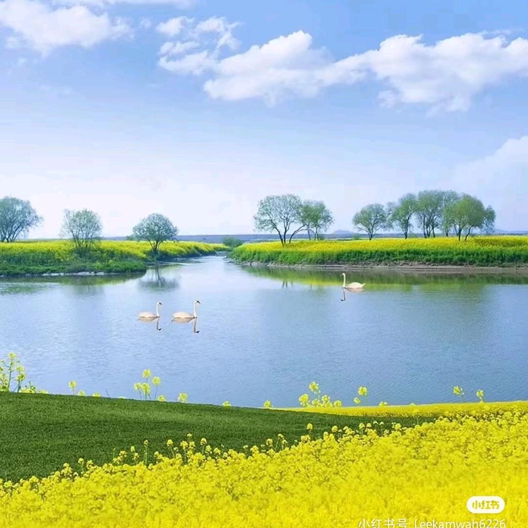 利欧泵业纳联-金鑫辰