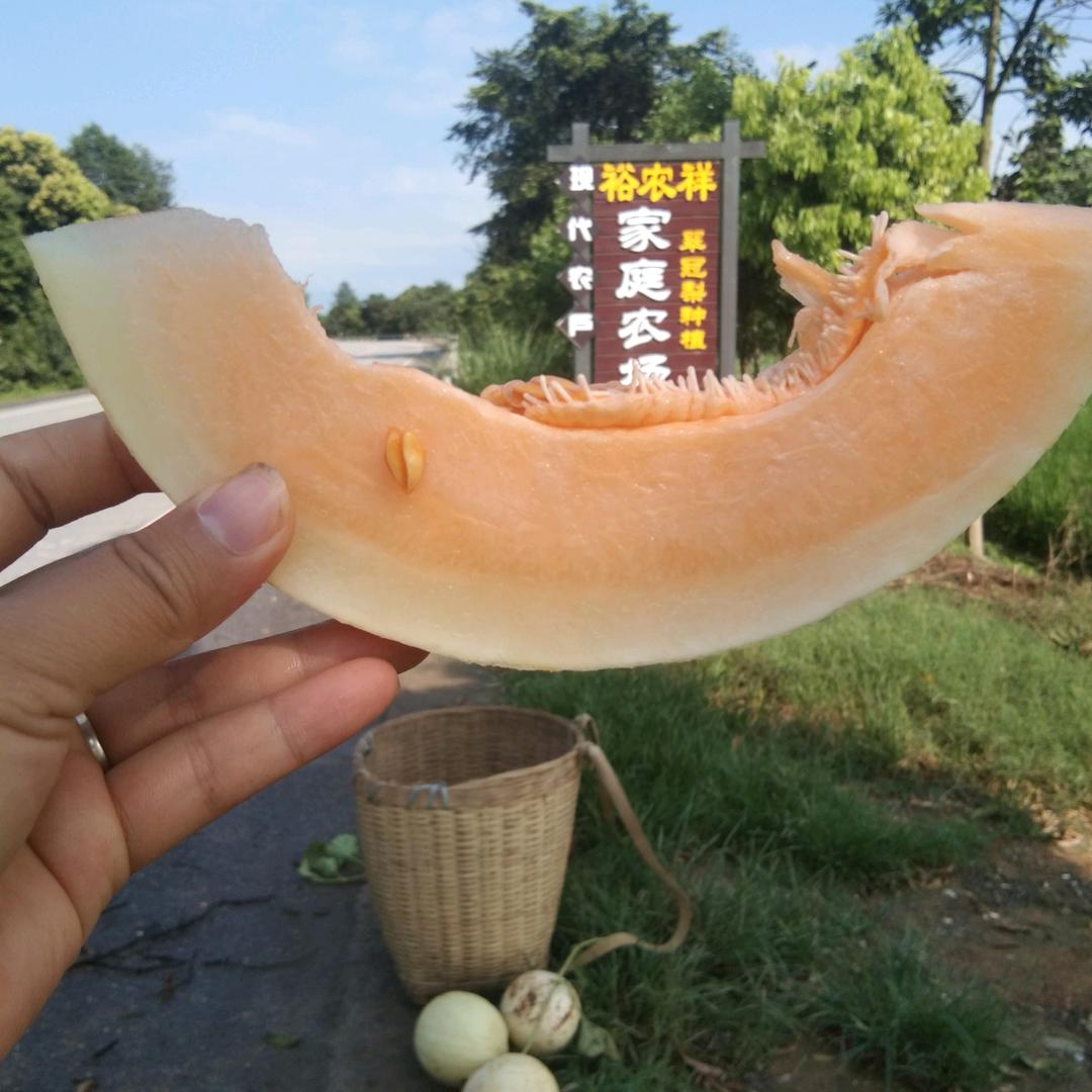 欢果家