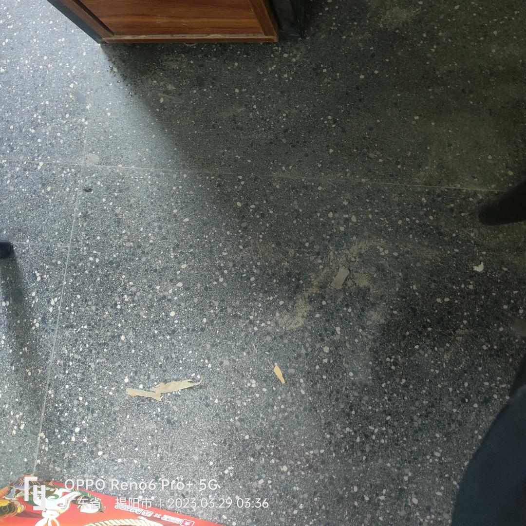 最后的守望者