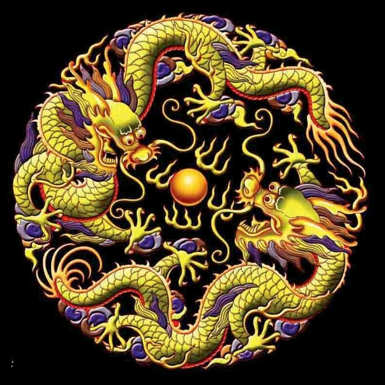 龍哥生态养殖农场