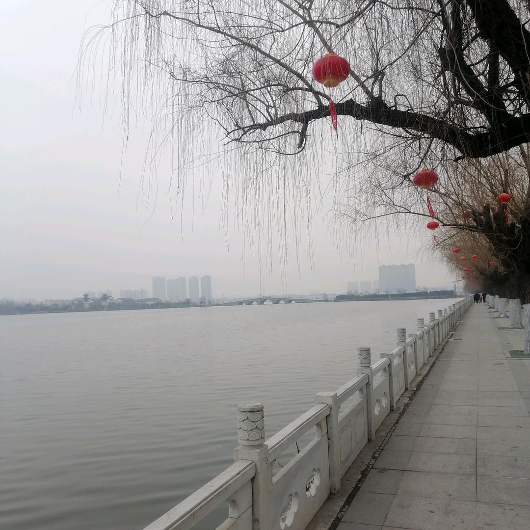 拓荒者→