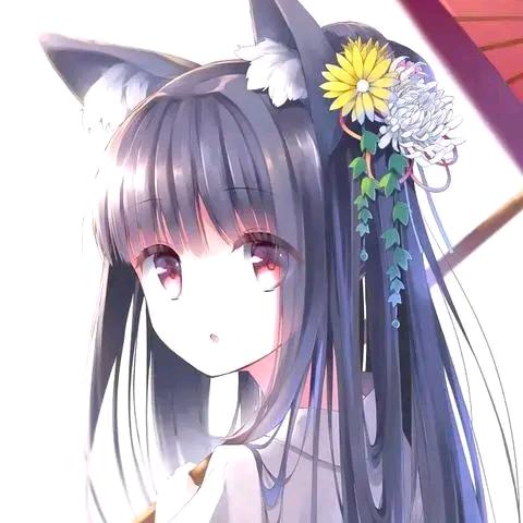 疯狂津