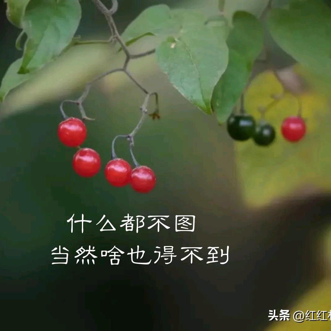 东东