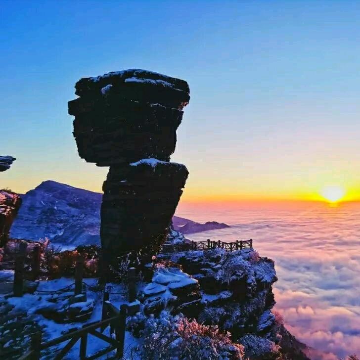 平大叔居家好物分享