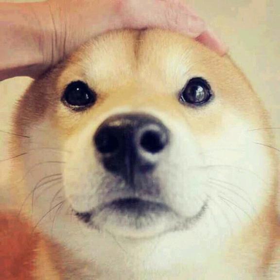 水煮犇肉