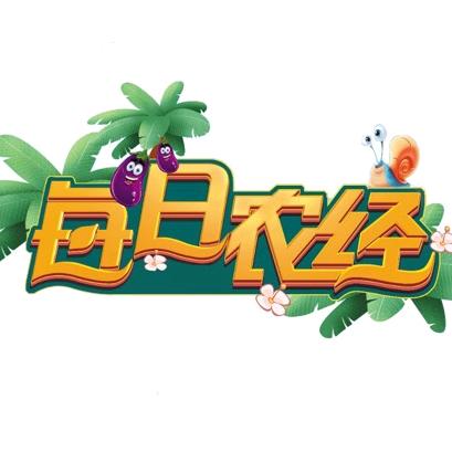 每日农经