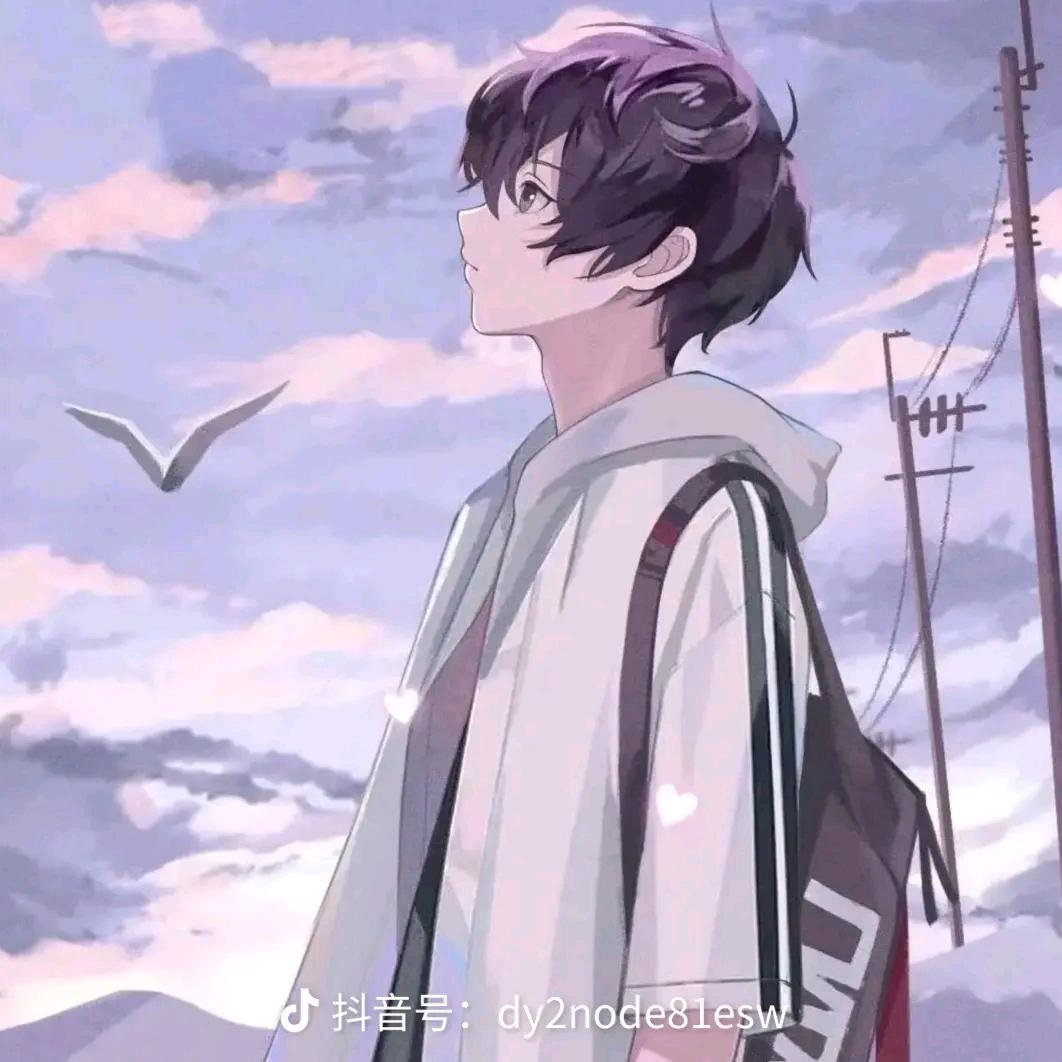 九五年的一场梦