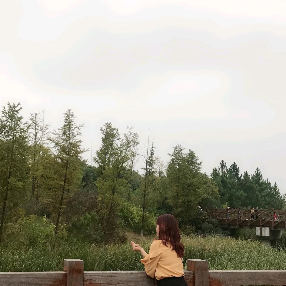 木头充绒机＇