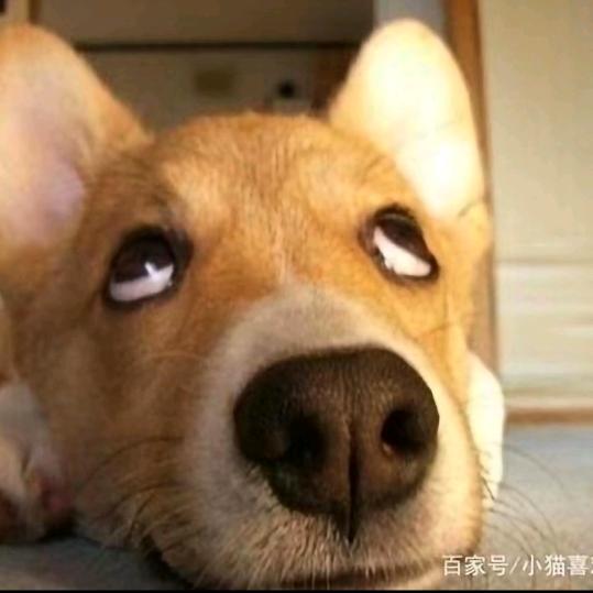 我就溜达、