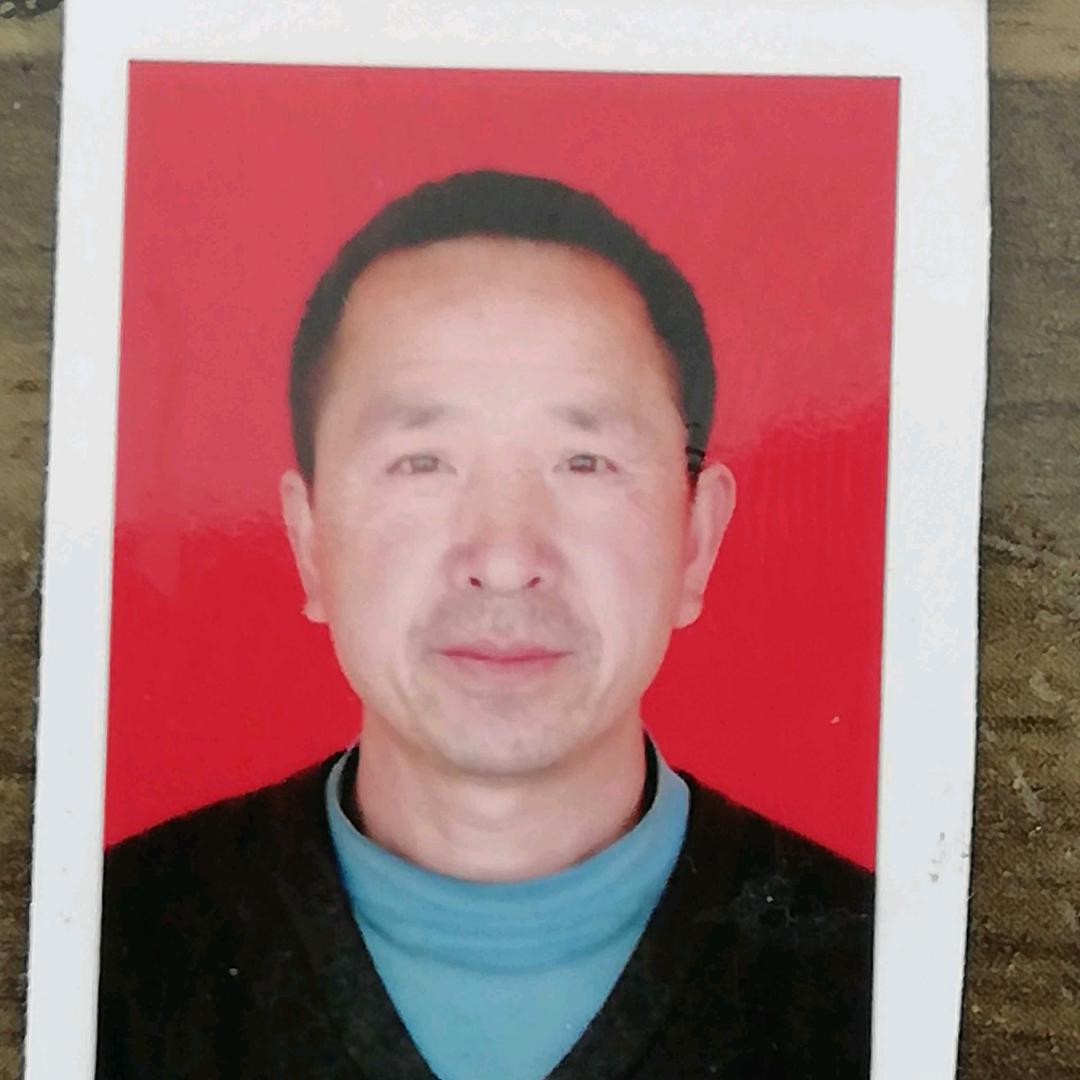 焦保金