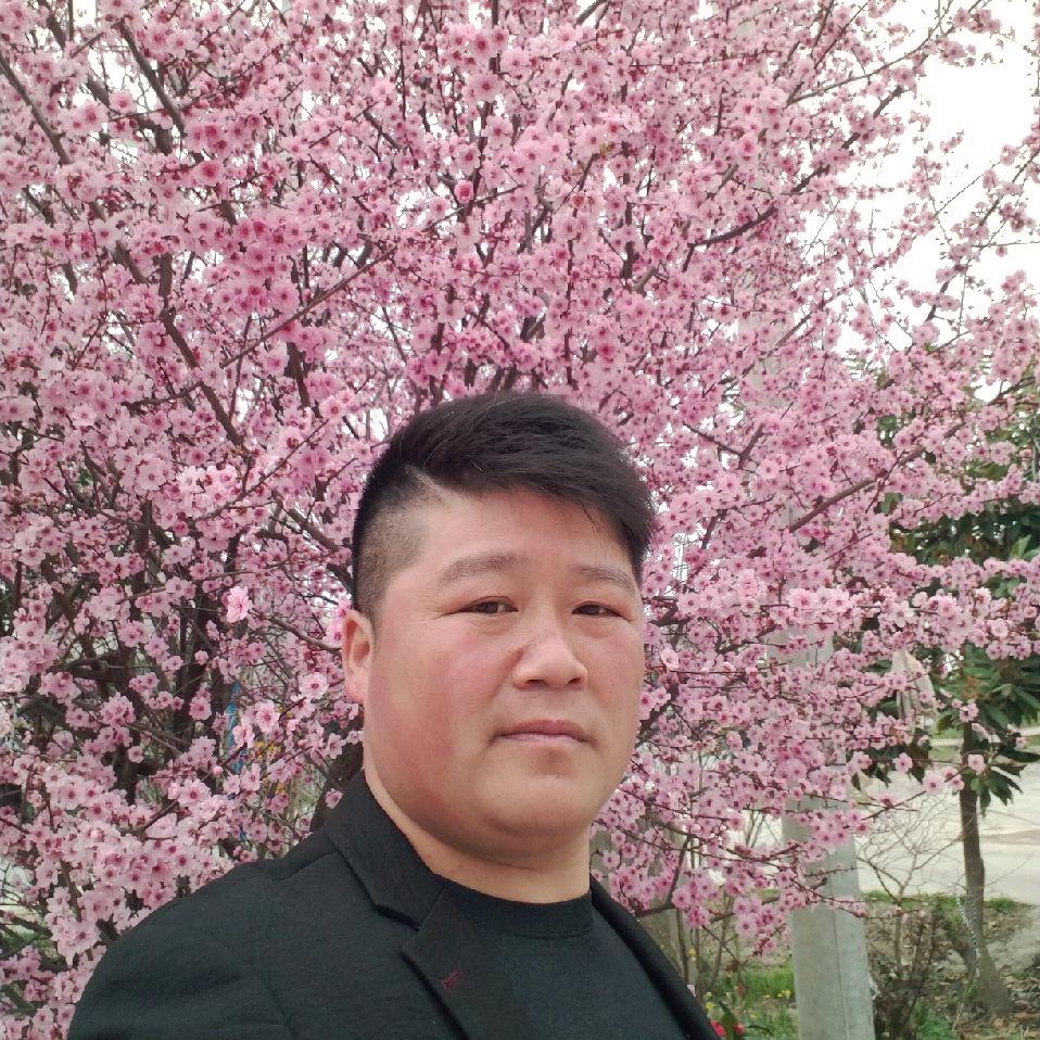 唐伍州