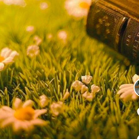 深圳电动车的那些事