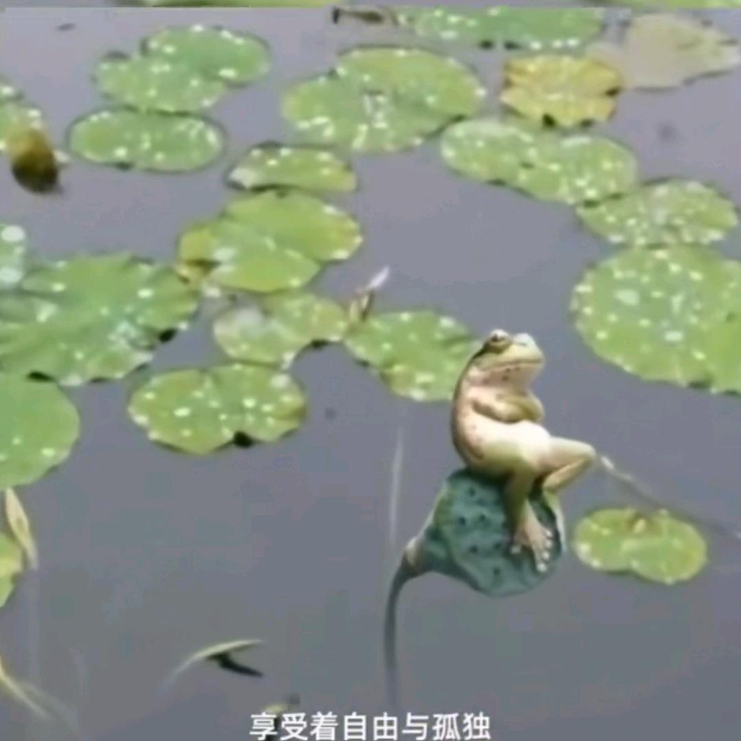 蜡笔坏小新