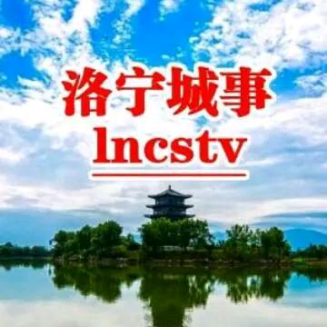 洛宁城事