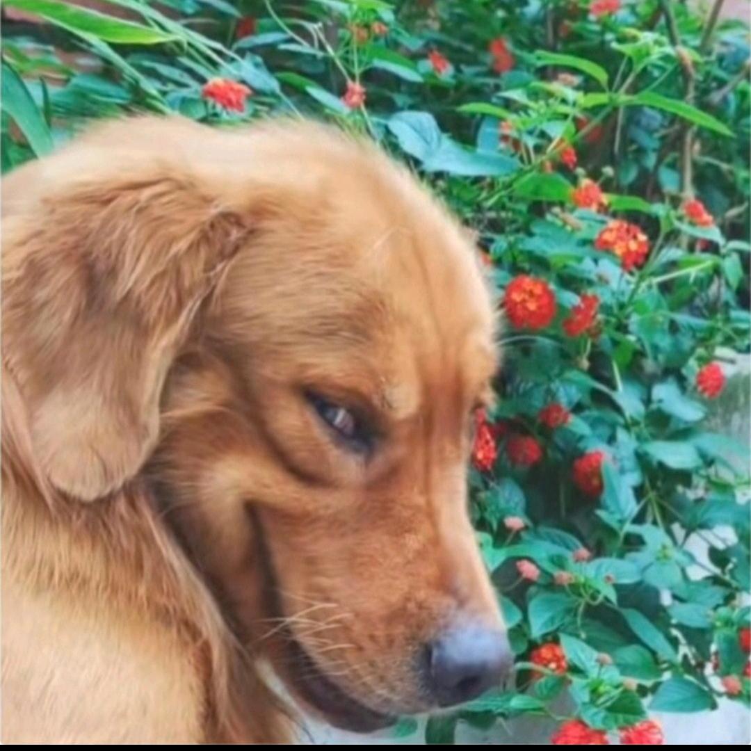 巭孬㐓夯